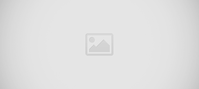 Welcome to the Asylum